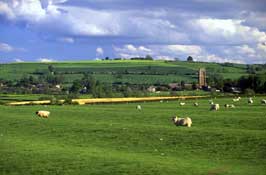 Warks_Walks37.jpg