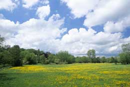 Warks_Walks42.jpg