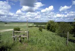 Wilts_Walks16.jpg