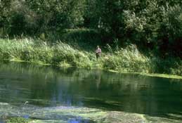Wilts_Walks7.jpg