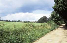 Worcs_Walks13.jpg