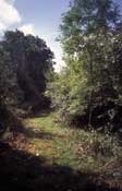 Worcs_Walks23.jpg