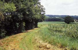 Worcs_Walks6.jpg