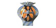 AA car and motorcycle badges