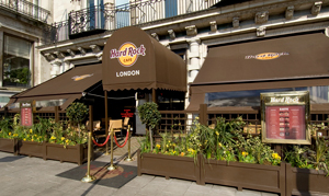 Hard Rock Cafe