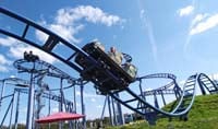 The Cobra at Paultons