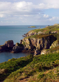 St David's Head