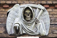 skeleton
