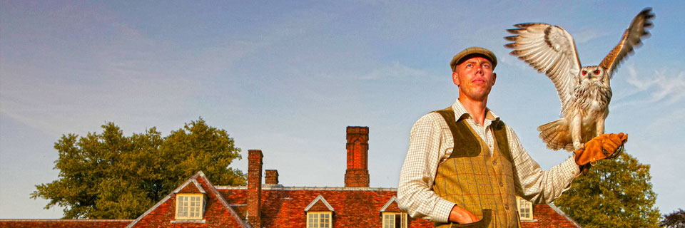 Falconry at Lainston Hotel
