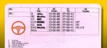 Driving licence validation