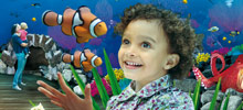 A girl looking at some fish