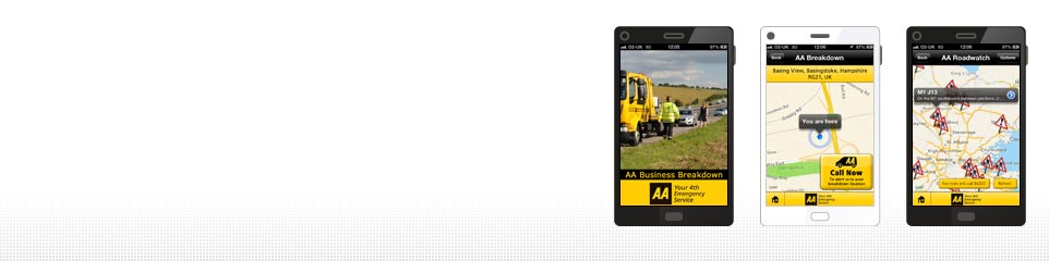 AA Business Breakdown