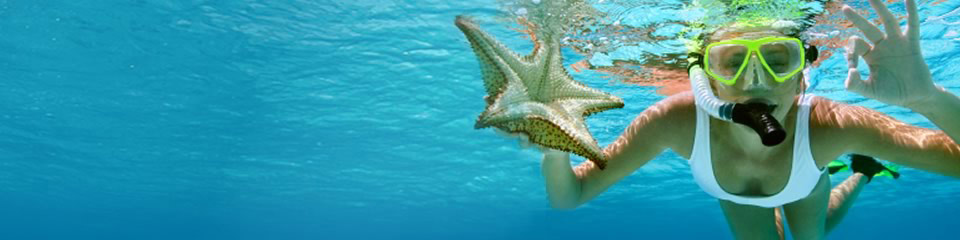 Travel Insurance
