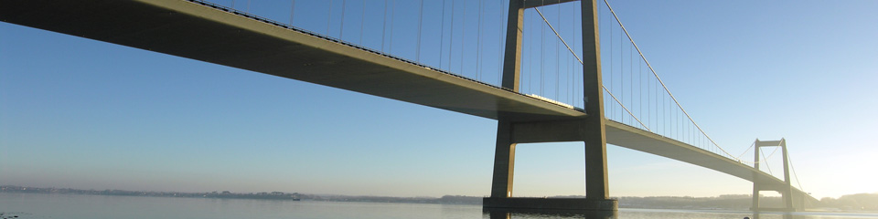 AA affiliates banner - suspension bridge
