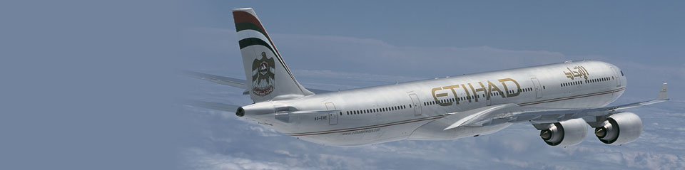 An Etihad aircraft
