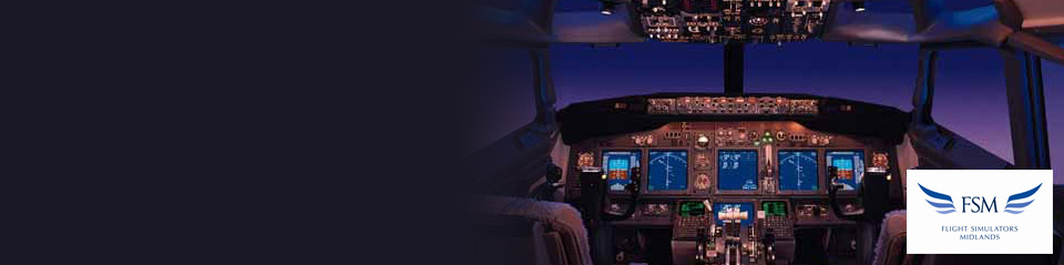 Half-price flight simulator