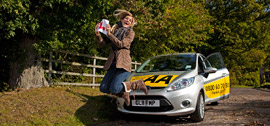 Driving school