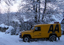 SORT van in the snow