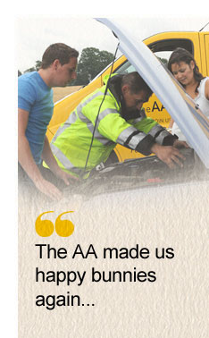 The AA made us happy bunnies again...