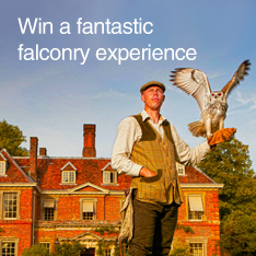 Falconry handler