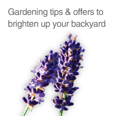 Gardening tips and offers