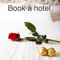 Search and book hotels