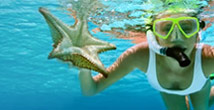 Single trip travel insurance Single trip travel insurance