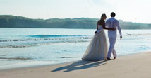Wedding cover Wedding cover