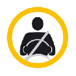 Adult occupant protection