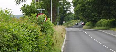 Wet then warm weather has led to phenomenal foliage growth leading to &lsquo;lost&rsquo; road signs