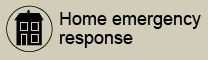 Home emergency response