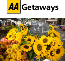 AA Getaways - sunflowers