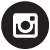 Instagram icon circle 50x 50