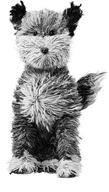 aa soft toy dog