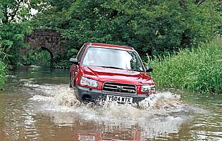 pic of Forester in water