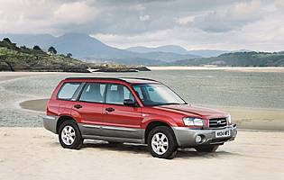 pic of Forester on beach