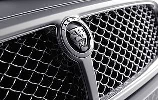 picture of grille