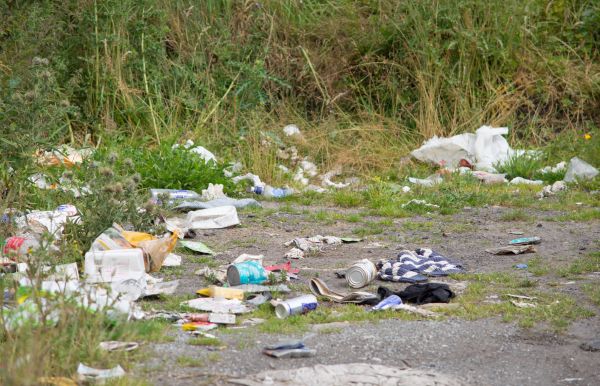 Litter 2026