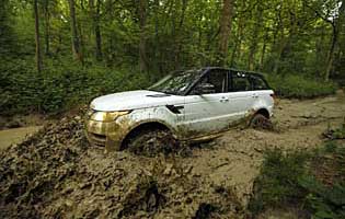 picture of car in detail