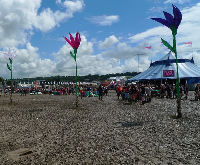 Festival image
