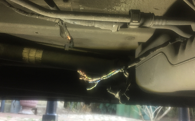 Fox damaged wiring