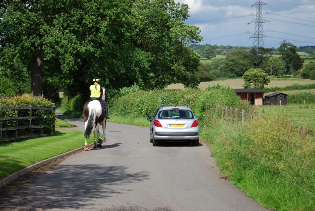 Car passing horse resize