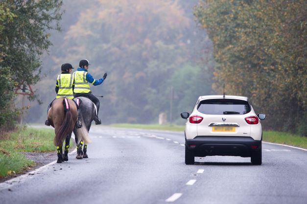 Horse hi viz car passing resize