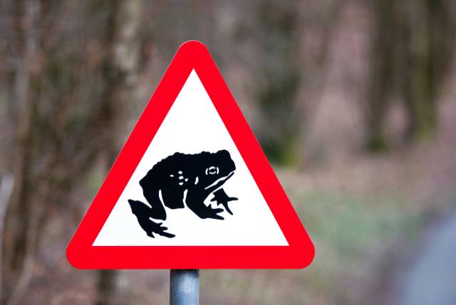 toad crossing warning sign