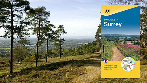 50 Walks in Surrey