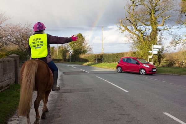 Sharing the road with horses