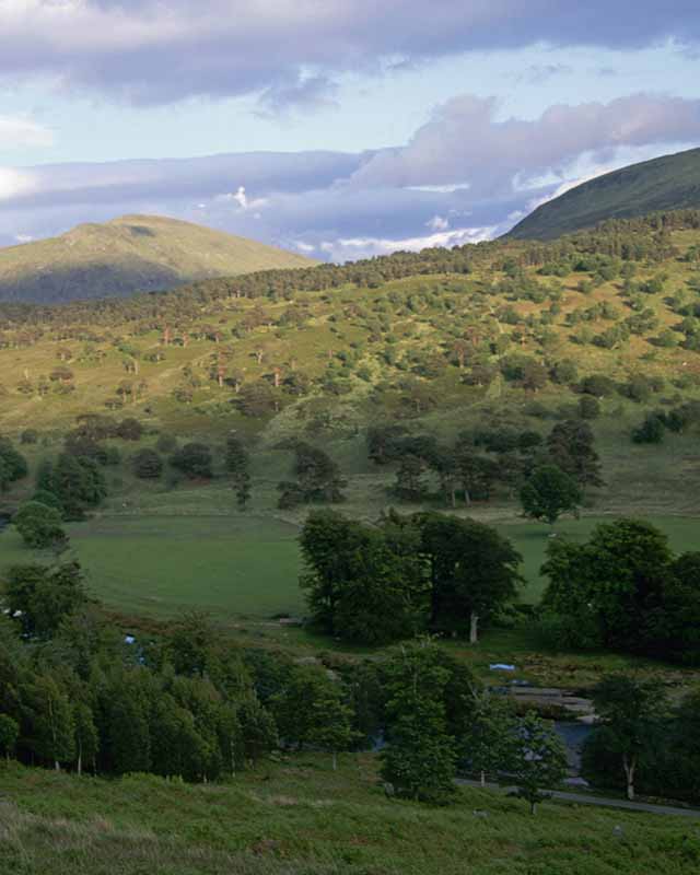 Perth and Kinross AA